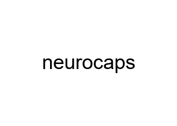 ../_images/neurocaps.png