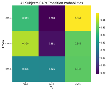 ../_images/All_Subjects_CAPs_transition_probability_matrix.png