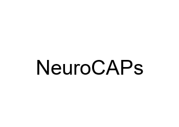 ../_images/neurocaps.png