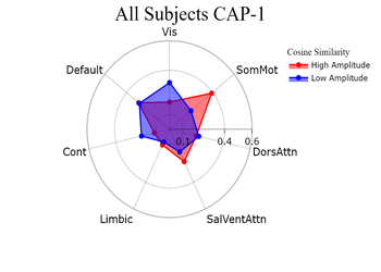 ../_images/All_Subjects_CAP-1_radar1.png