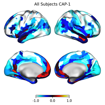 ../_images/All_Subjects_CAP-1_surface_embed_thumbnail.png